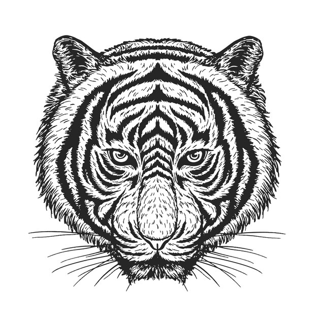 Download m2m courses near me