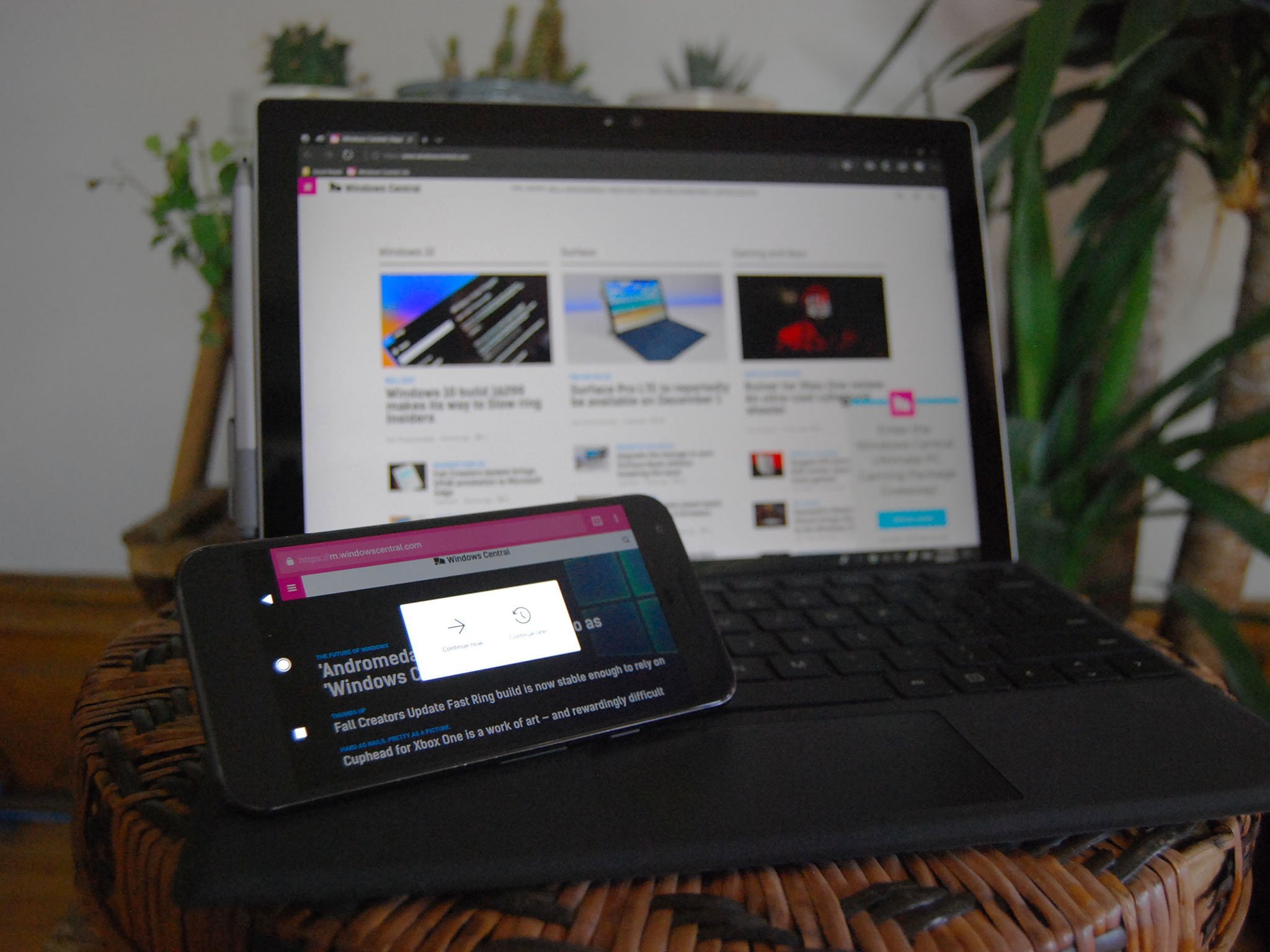 Download peggo 600 Download peggo 600