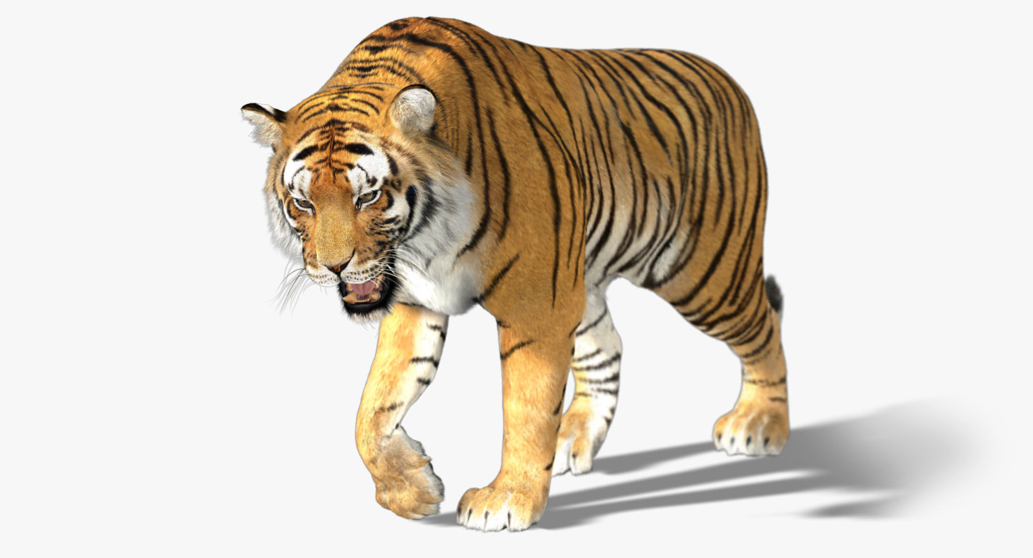 Download zgemma h2s software 8 2 free