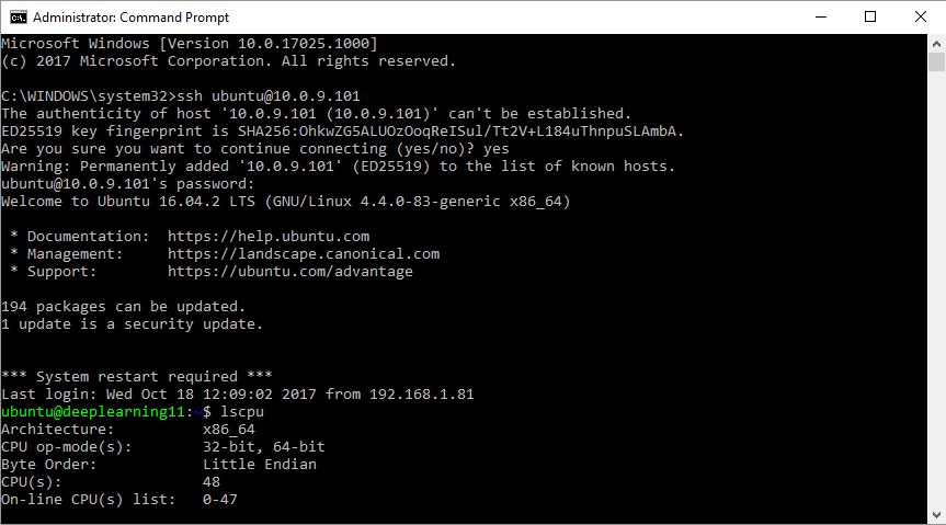 Free Antivirus Download for PC AVG Virus Protection Software
